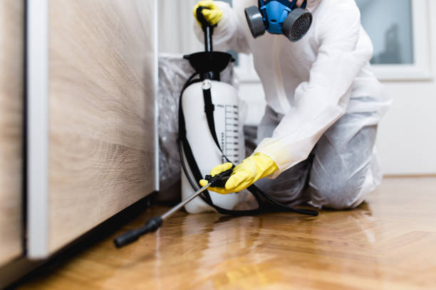 Wildlife Control Services in Yarmouth Port, MA