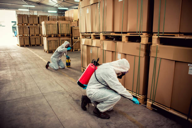 Best Pest Removal Services  in Yarmouth Port, MA