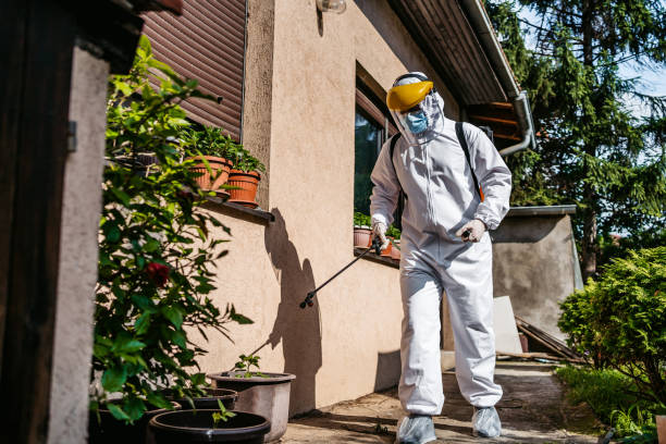 Best Insect Control  in Yarmouth Port, MA