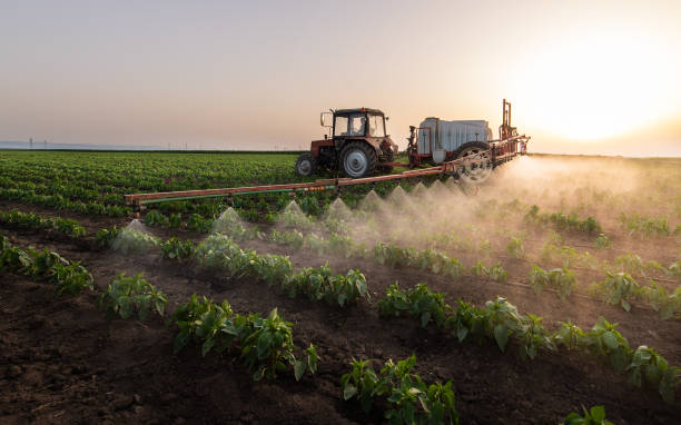 Professional Pest Control in Yarmouth Port, MA