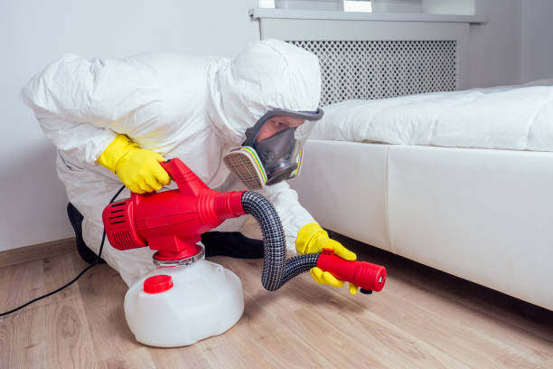Best Mosquito Control Services  in Yarmouth Port, MA