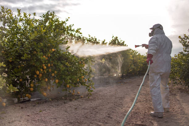 Best Best Pest Control Companies  in Yarmouth Port, MA
