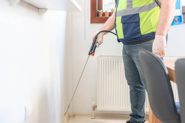 Best Ant Control Services  in Yarmouth Port, MA