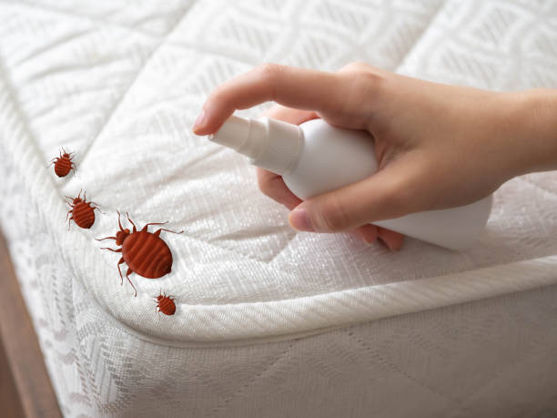 Best Commercial Pest Control Services  in Yarmouth Port, MA
